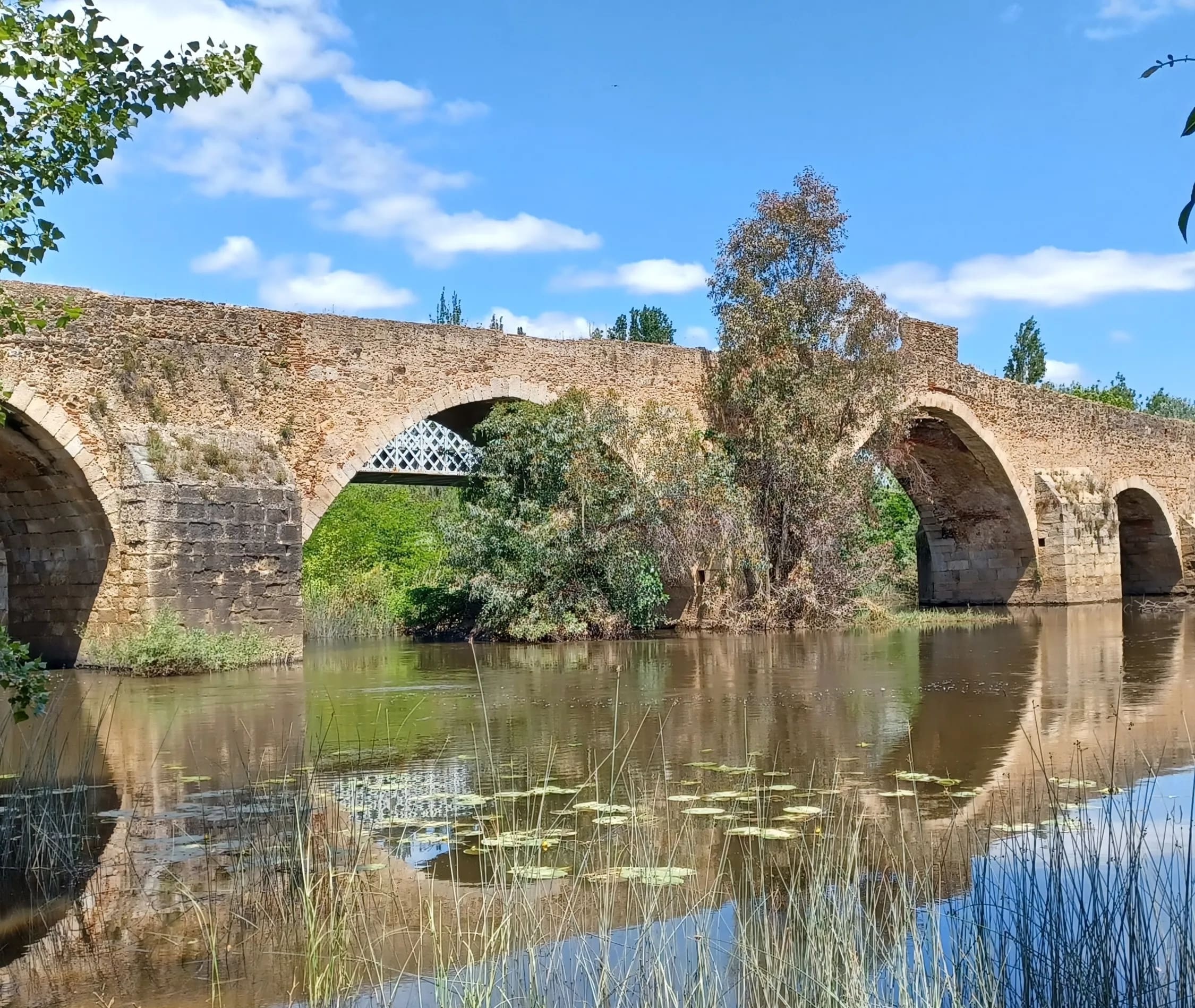 Bridge over a river