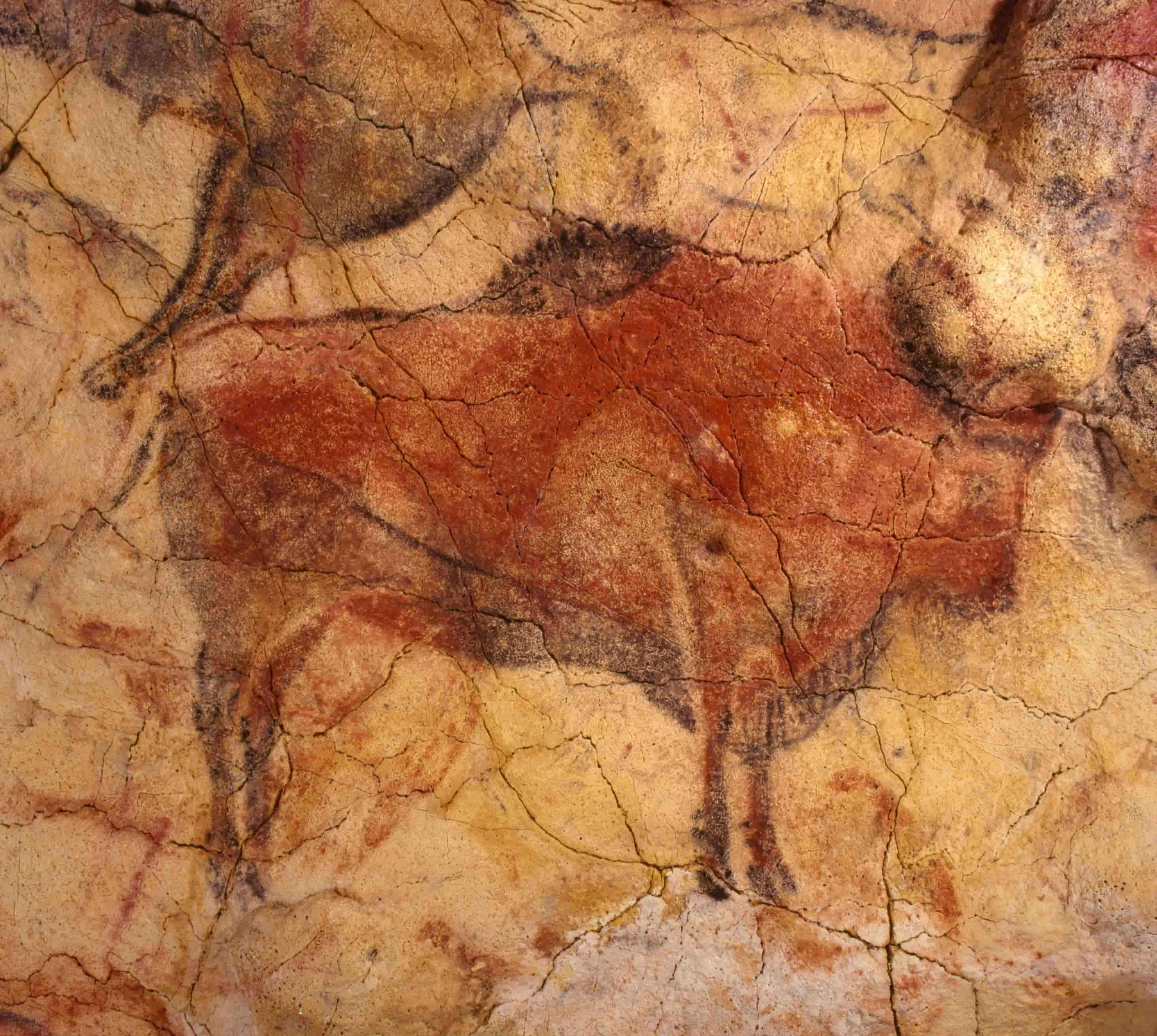 Cave painting of a bison
