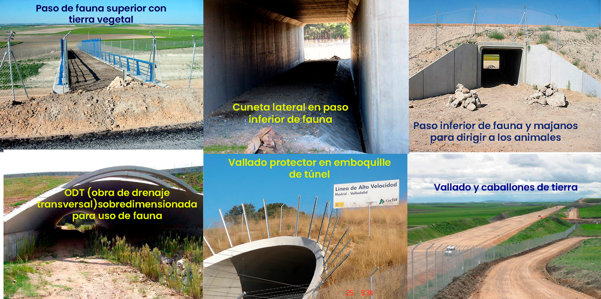 MOSAICO DE PASOS DE FAUNA