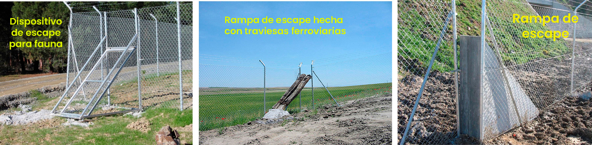 MOSAICO DE ESCAPES DE FAUNA