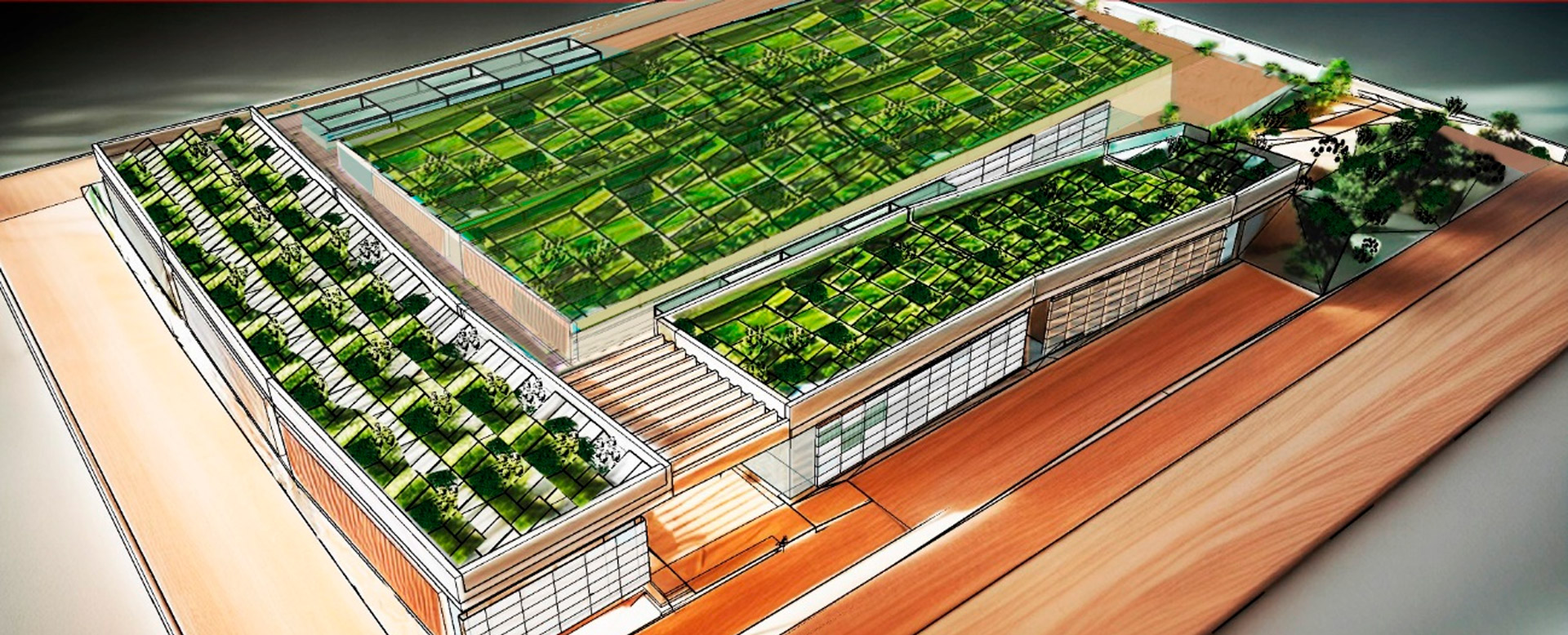 Plano dibujo de centro águilas