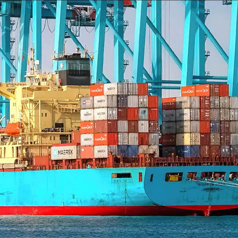 Algeciras is a strategic location for Ineco. For several years, the company has been working with the Port Authority of the Bay of Algeciras