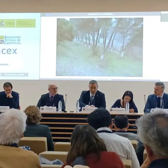 Technical Conference on Road Heritage. Professional Association of Civil Engineers, Madrid