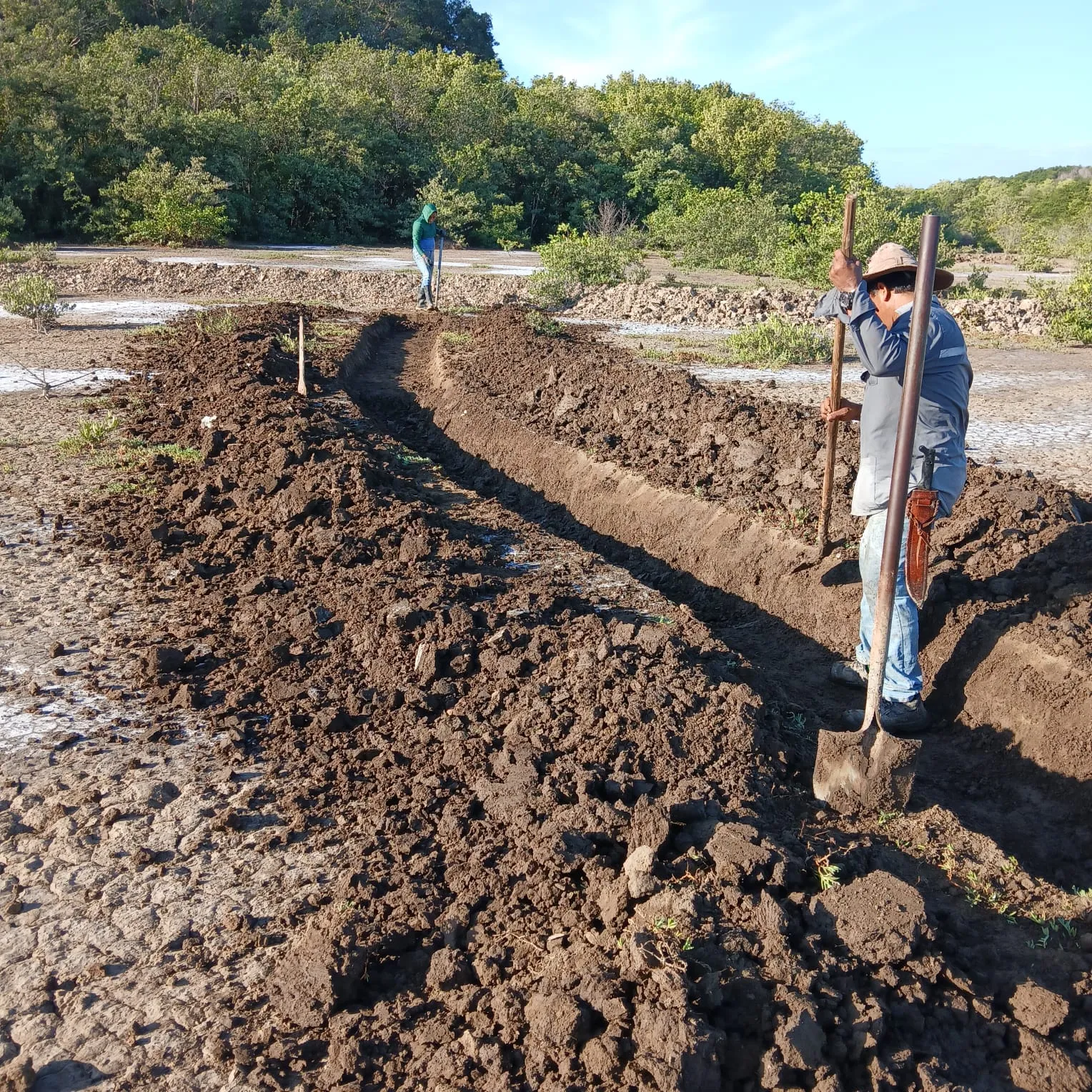 Ineco is in charge of this project for the government of Costa Rica