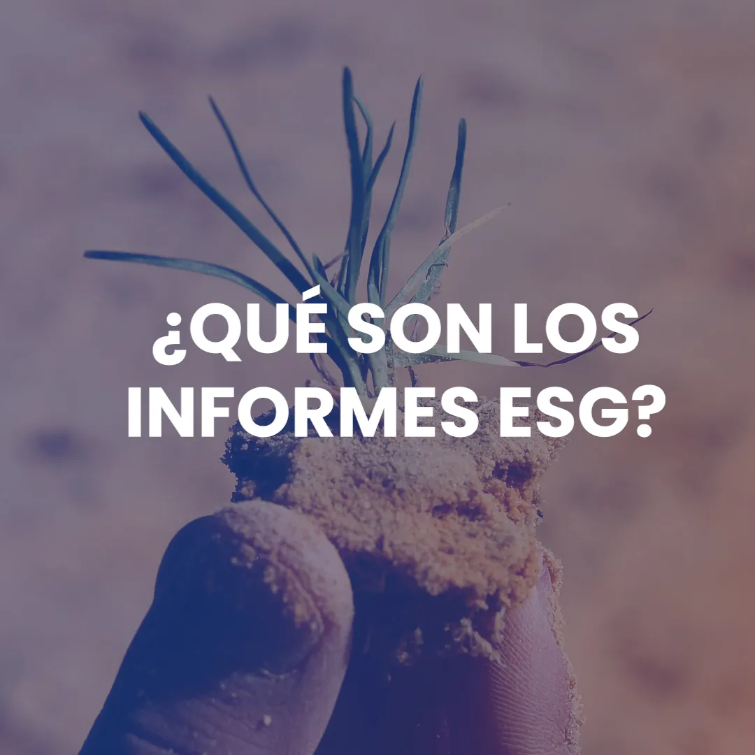 Ineco supports public and private organizations in the preparation of ESG reports.