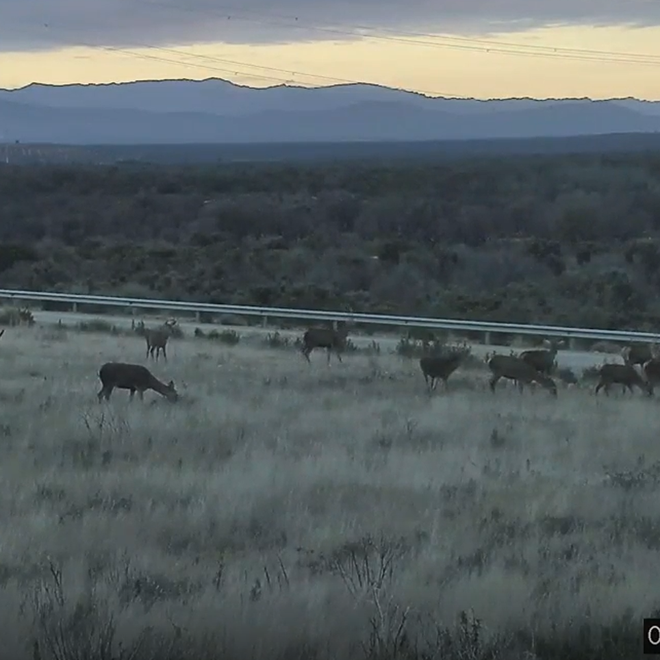 Captura de video del funcionamiento del sistema