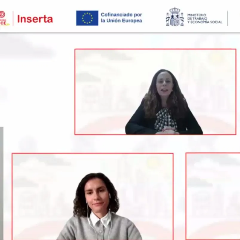 Un instante del webinar