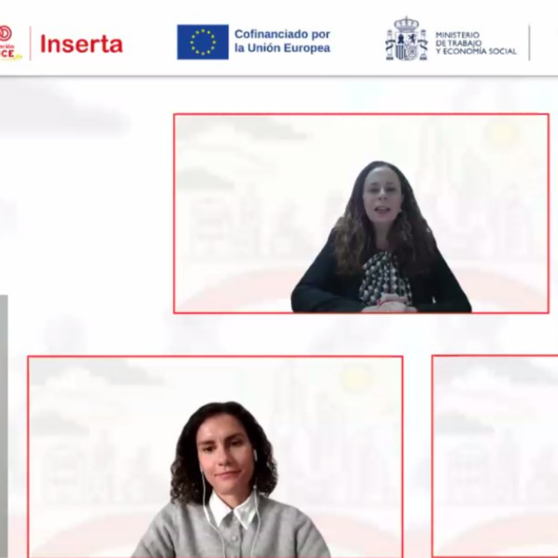 Un instante del webinar