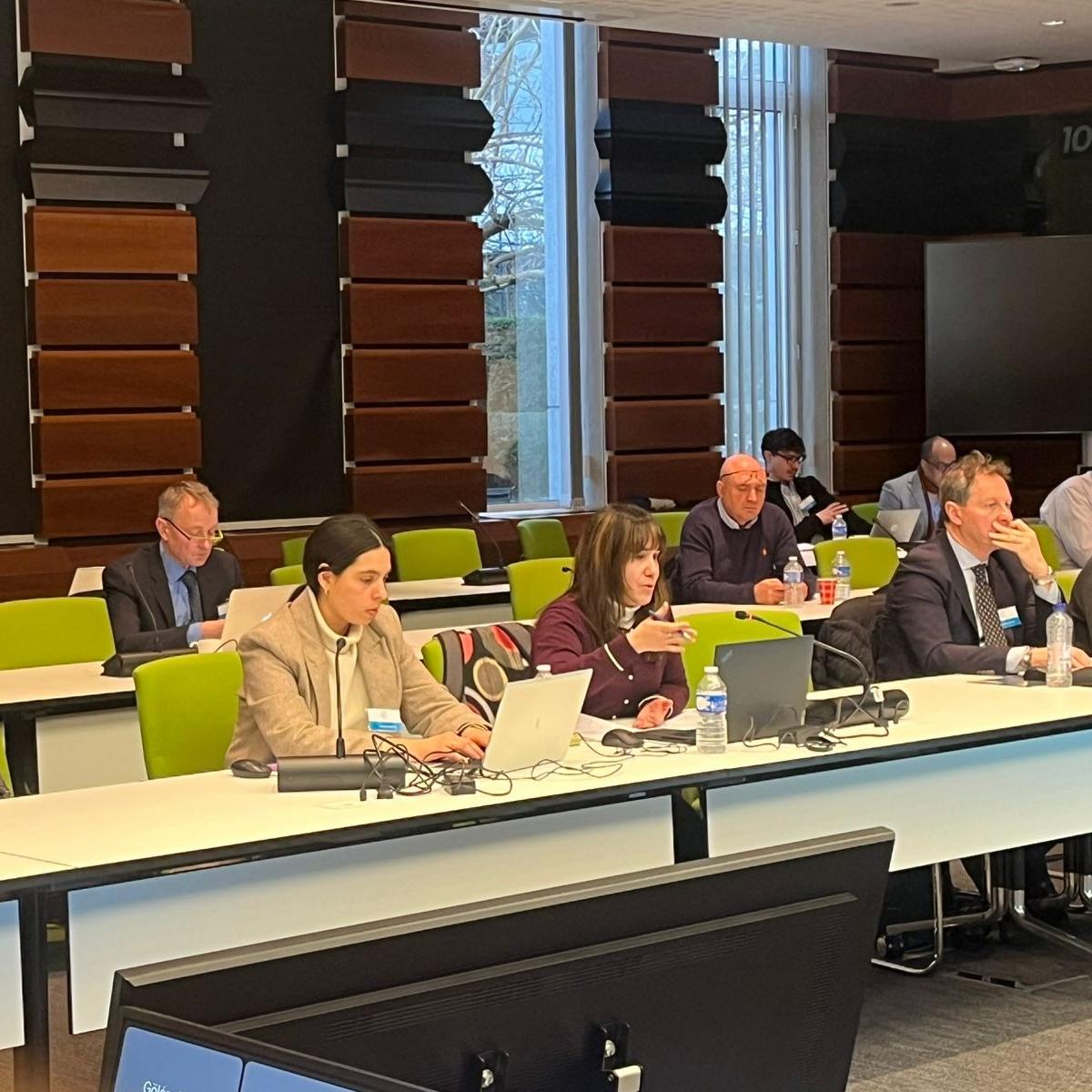 The IRINA project advances towards integrating drones and commercial aviation in European airspace