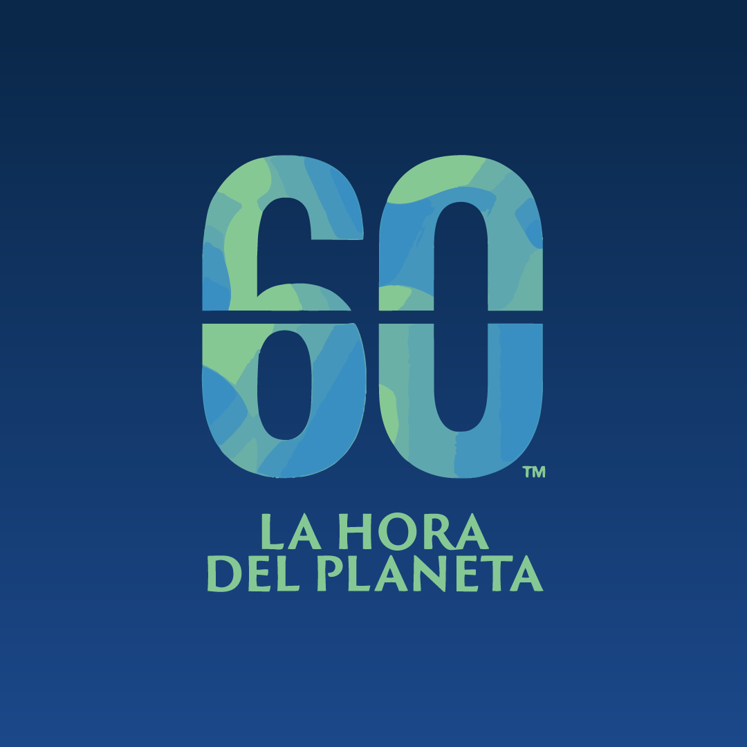 Switching Off to Switch On the Future