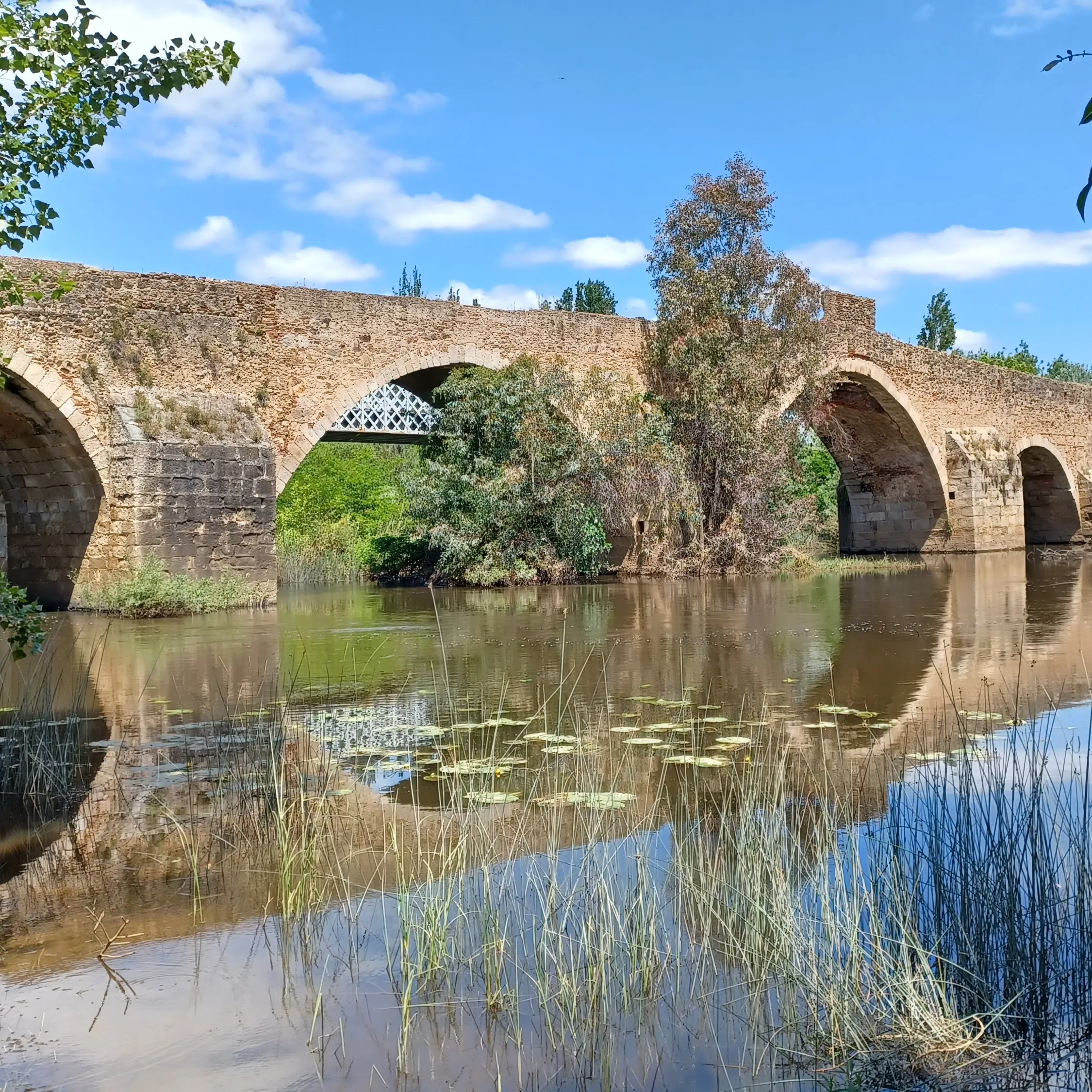 Ineco has taken on the challenge of restoring this bridge’s integrity and its function.