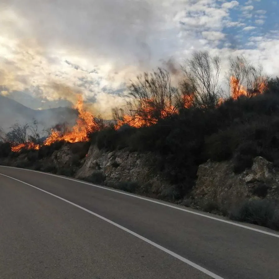 ¿Sabías que los datos climáticos ya se están transformando en decisiones frente al riesgo de incendios?