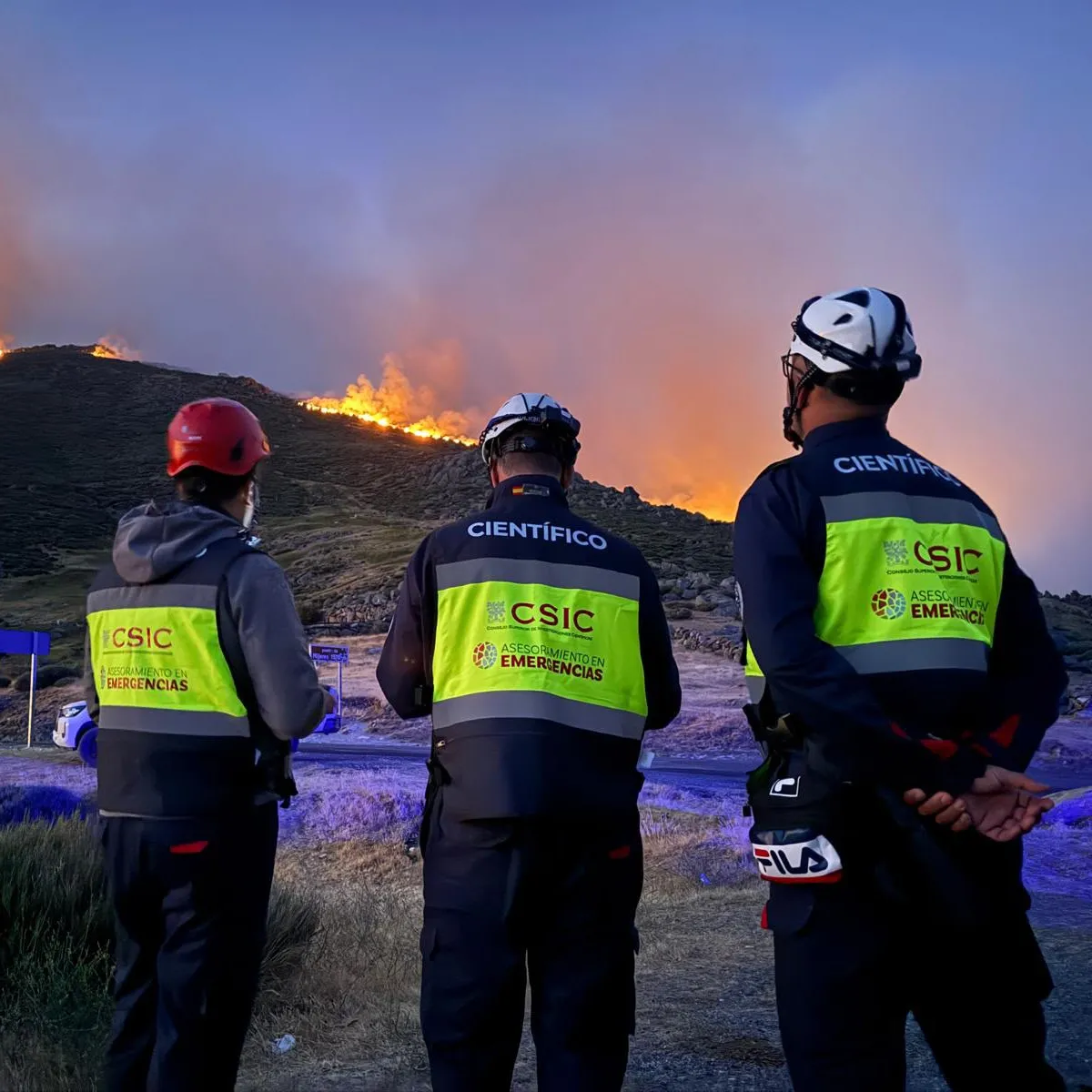 Ineco y el CSIC colaboran para mejorar la prevención de incendios forestales en el entorno de las infraestructuras ferroviarias