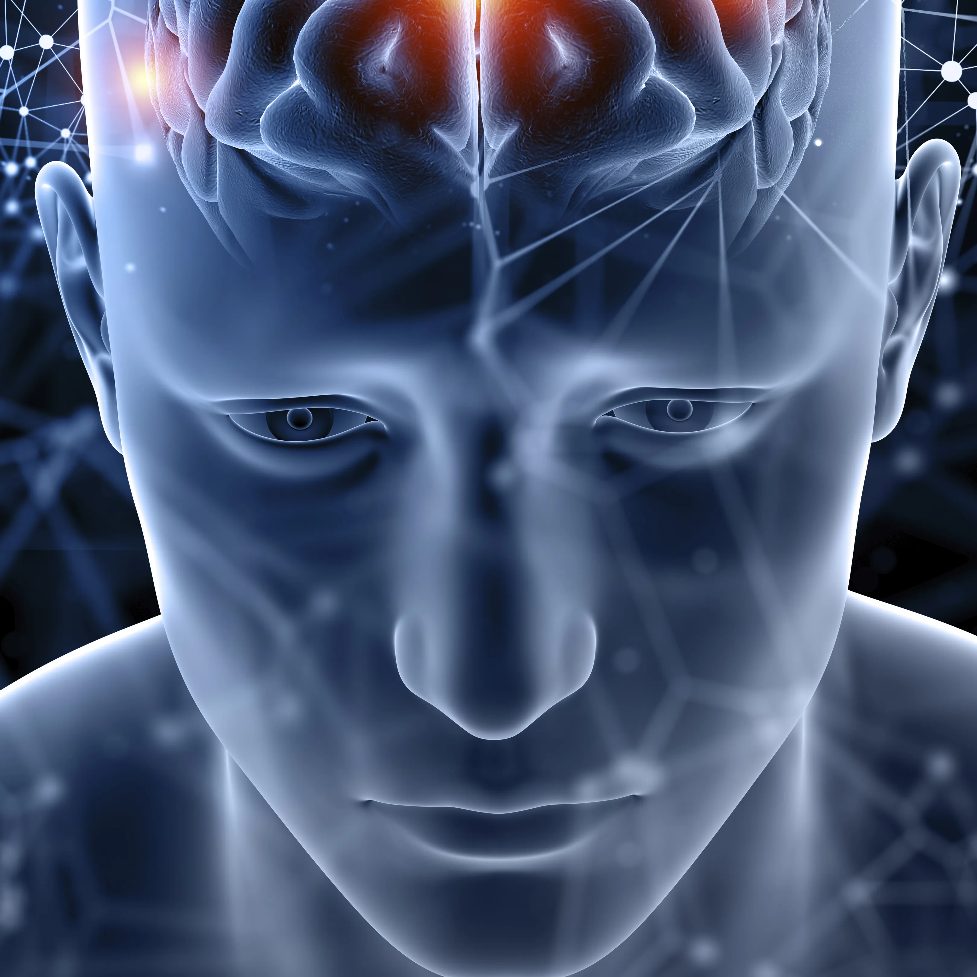 Ser humano y conexiones