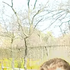 Nos sumamos a la lucha contra la soledad de las personas mayores