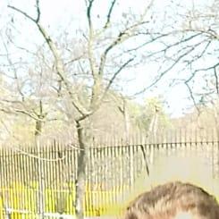 Nos sumamos a la lucha contra la soledad de las personas mayores