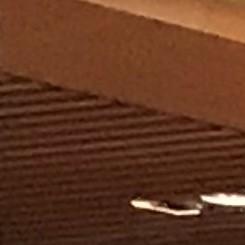 Ineco otorga cinco becas dentro del programa de la Fundación Once