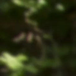 Miryam Sánchez, Ineco’s new technical director of Waste Management