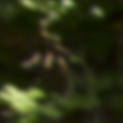 Miryam Sánchez, Ineco’s new technical director of Waste Management