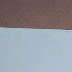 La presidenta de Ineco, en la jornada de movilidad “Rompiendo Barreras”