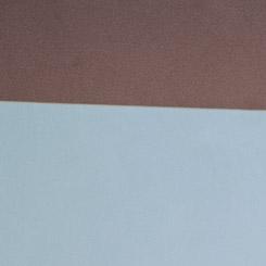 La presidenta de Ineco, en la jornada de movilidad “Rompiendo Barreras”