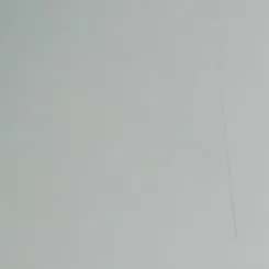 Ineco destaca su experiencia en la COP25