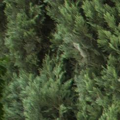 Ineco lanza el Programa “Mujeres IN”