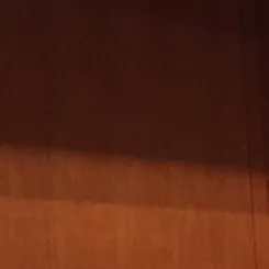 Official trip of the President of Ineco to the Middle-East