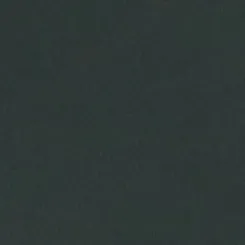 Primer trayecto institucional de la alta velocidad Meca-Medina