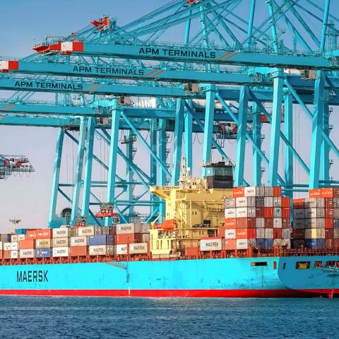 Puerto de Algeciras: Los trabajos de Hércules 