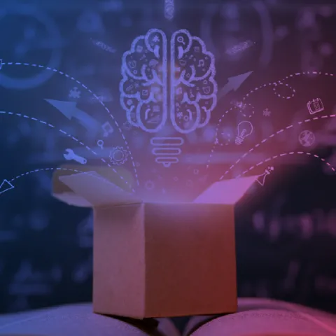 20 proyectos a desarrollar en los próximos meses gracias a una inversión de 30.000 horas de emprendimiento