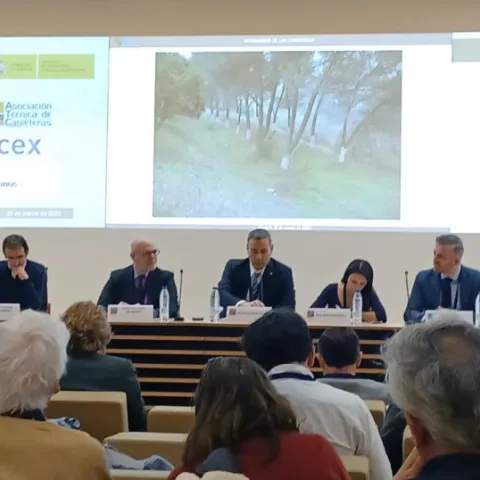 Technical Conference on Road Heritage. Professional Association of Civil Engineers, Madrid