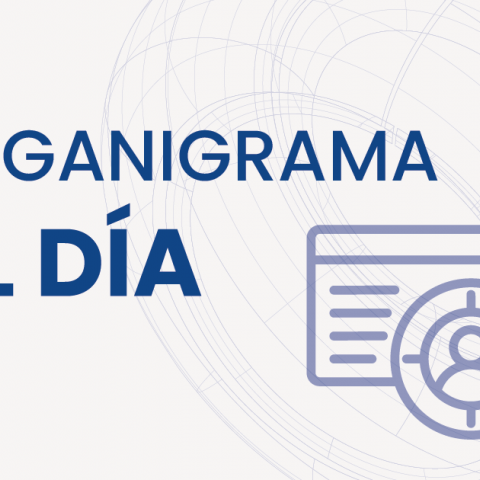 Organigrama
