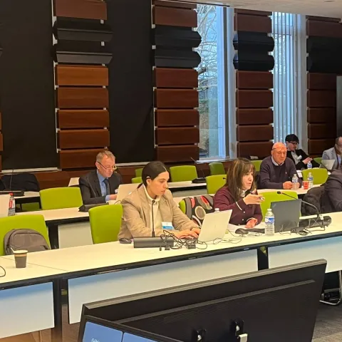 Ángela Abad, experta de la Gerencia de Seguridad Aérea, ha participado en el IRINA Stakeholder Workshop 2026