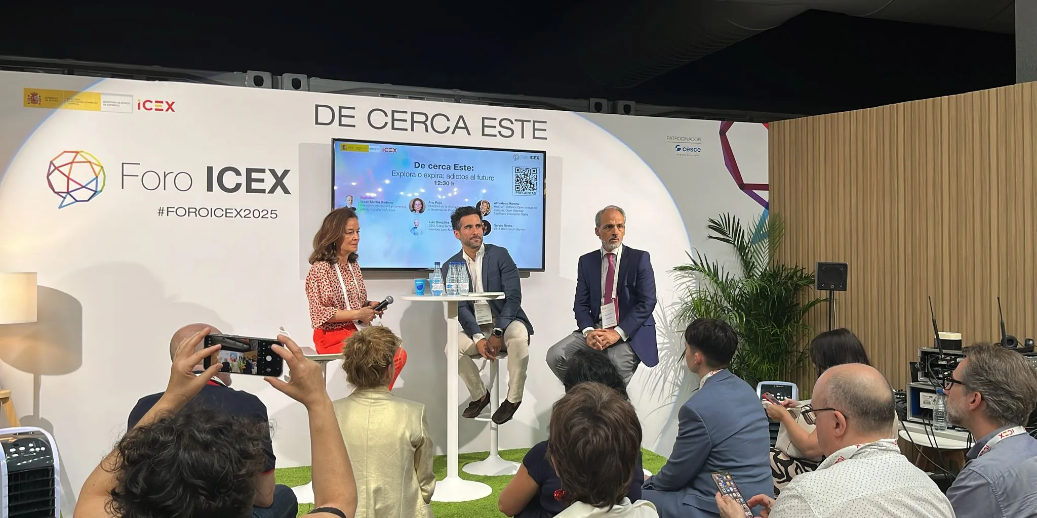 During her speech, Ana Rojo shared Ineco's experience.