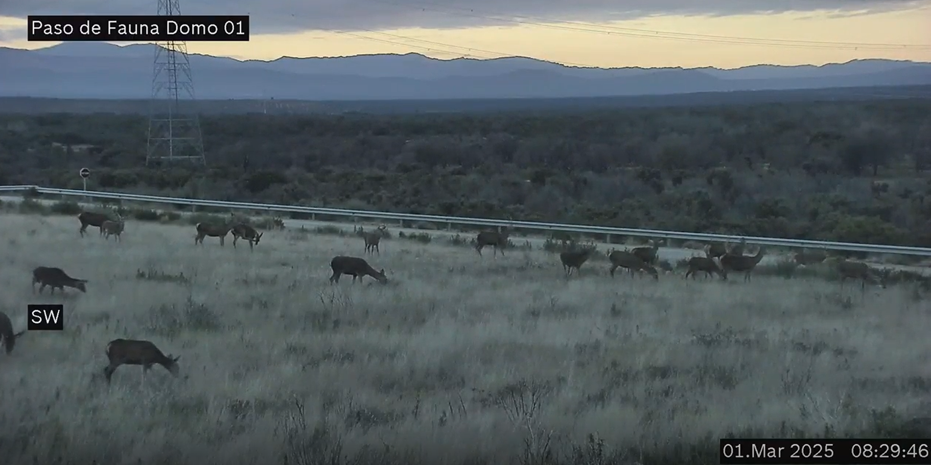 Captura de video del funcionamiento del sistema