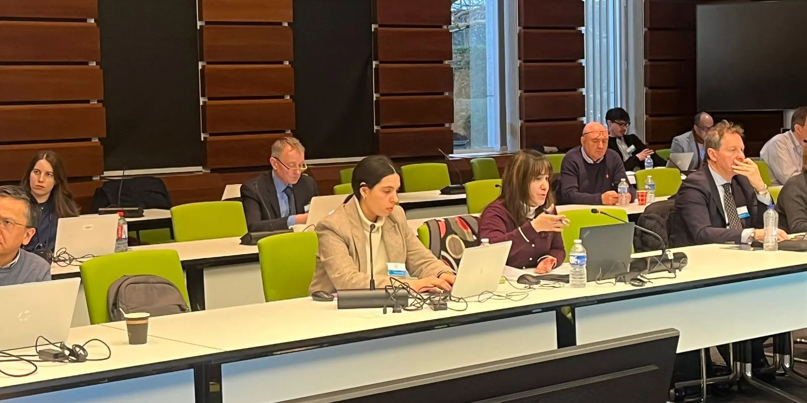 Ángela Abad, experta de la Gerencia de Seguridad Aérea, ha participado en el IRINA Stakeholder Workshop 2026