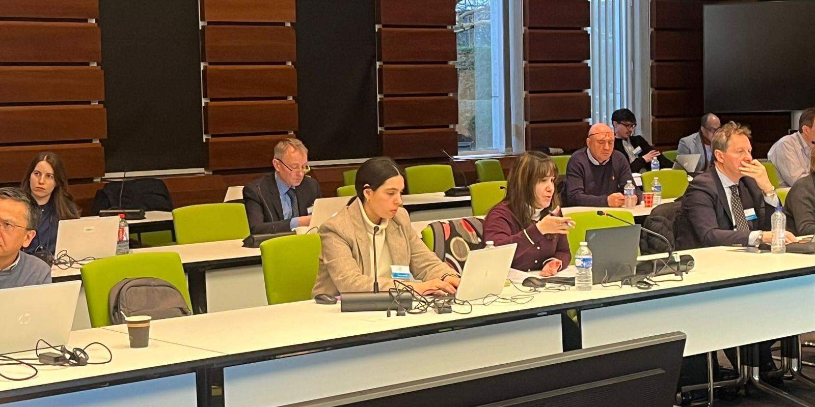 Ángela Abad, expert from the Air Safety Management, took part in the IRINA Stakeholder Workshop 2026