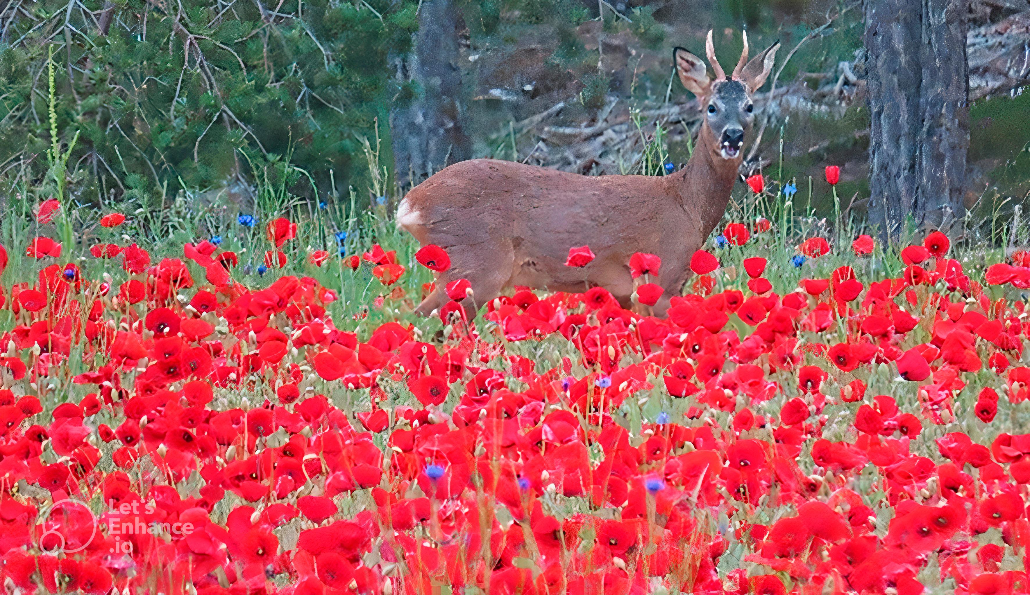 Protectores por naturaleza