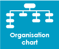 Organiztion chart