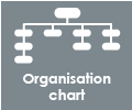 Organiztion chart